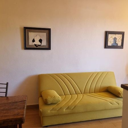 Agriturismo Terranera Scansano Dış mekan fotoğraf