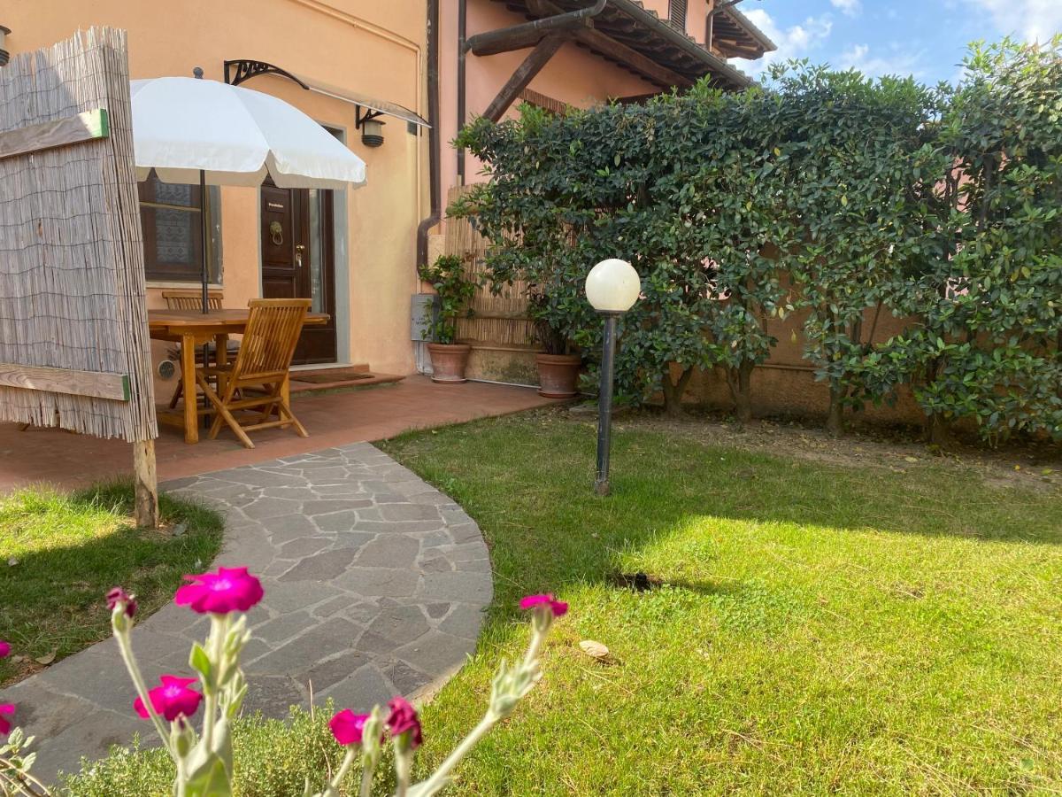 Agriturismo Terranera Scansano Dış mekan fotoğraf