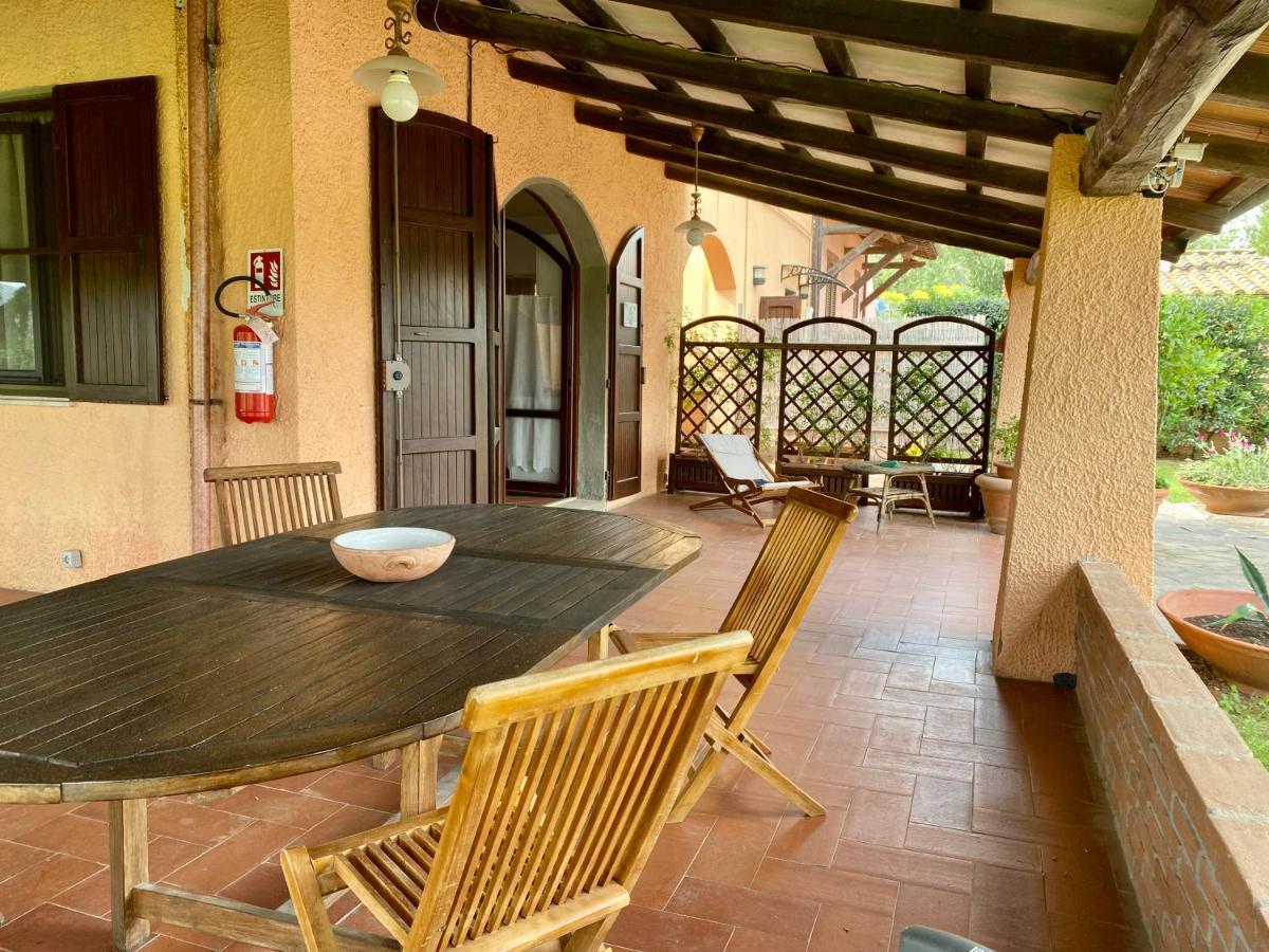 Agriturismo Terranera Scansano Dış mekan fotoğraf
