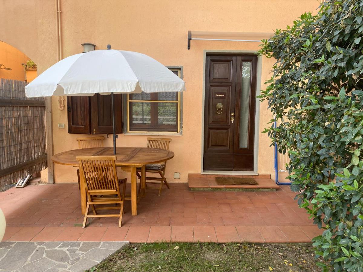 Agriturismo Terranera Scansano Dış mekan fotoğraf