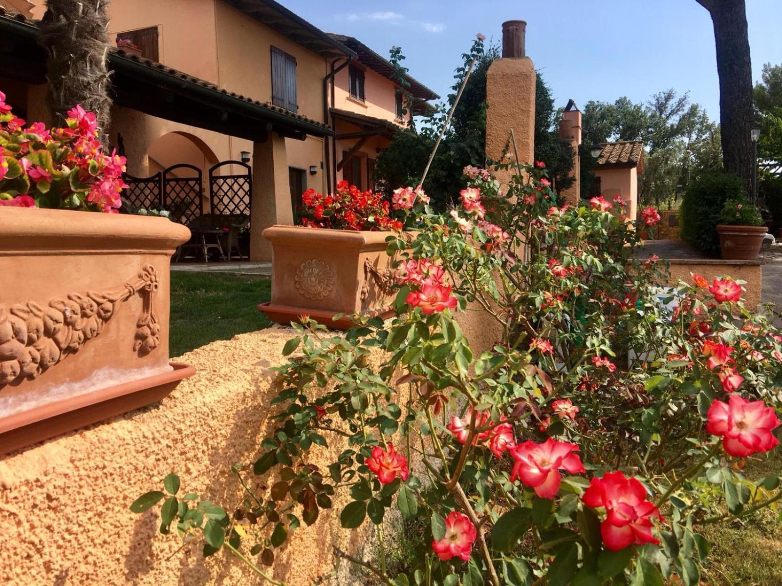 Agriturismo Terranera Scansano Dış mekan fotoğraf