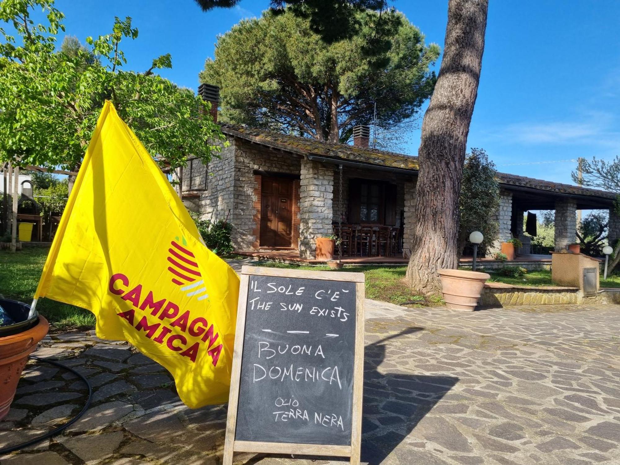 Agriturismo Terranera Scansano Dış mekan fotoğraf