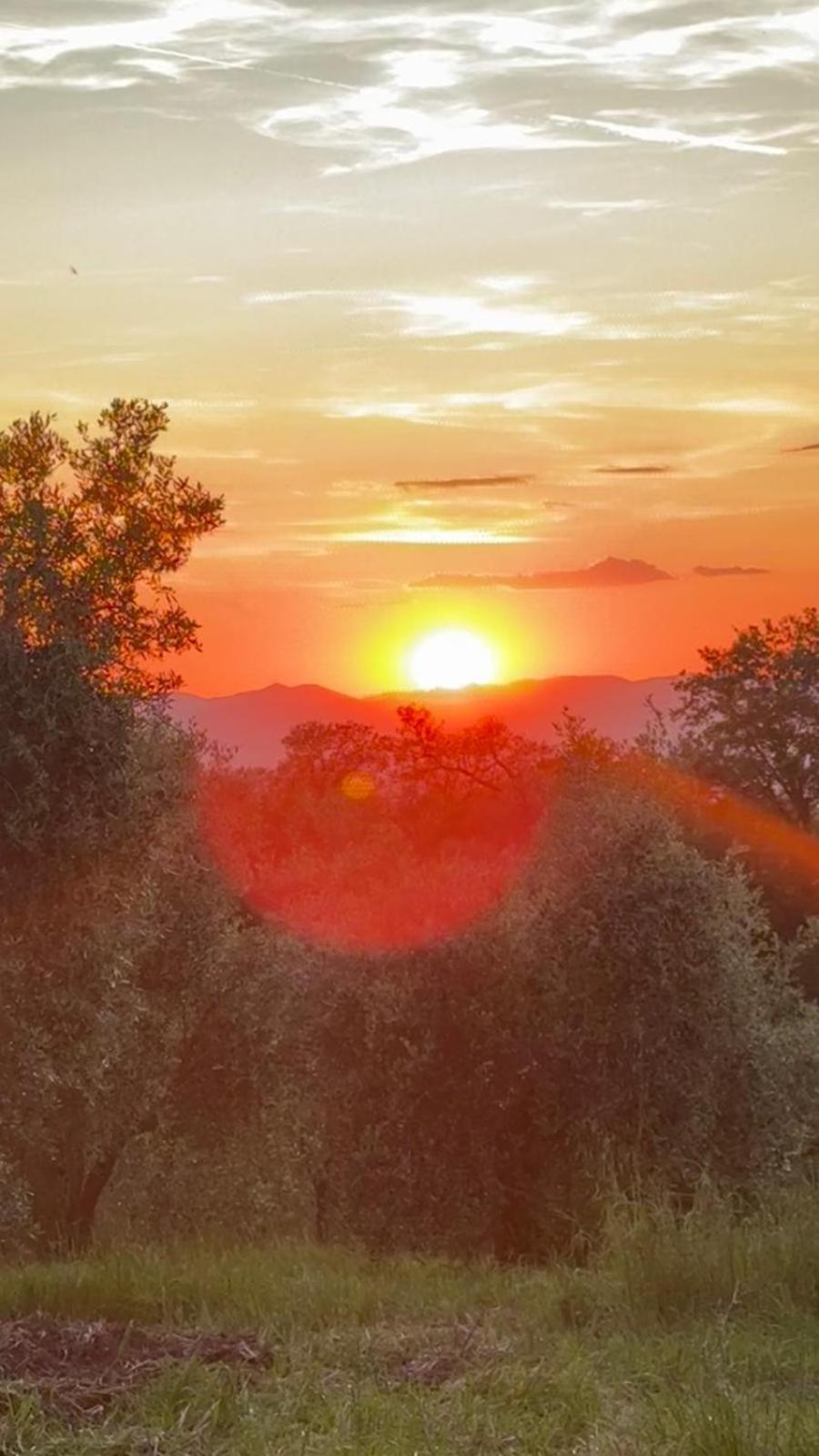 Agriturismo Terranera Scansano Dış mekan fotoğraf