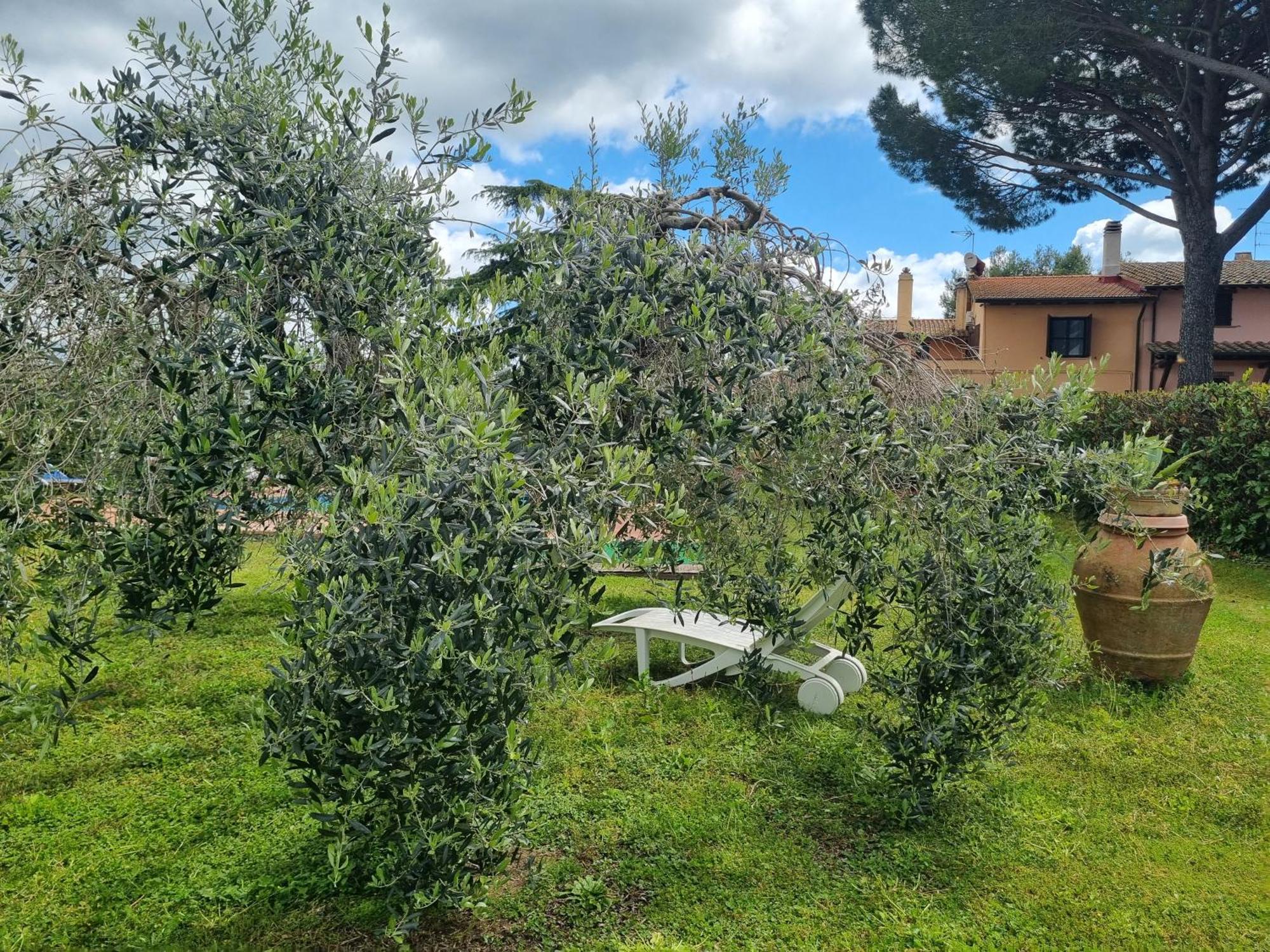Agriturismo Terranera Scansano Dış mekan fotoğraf