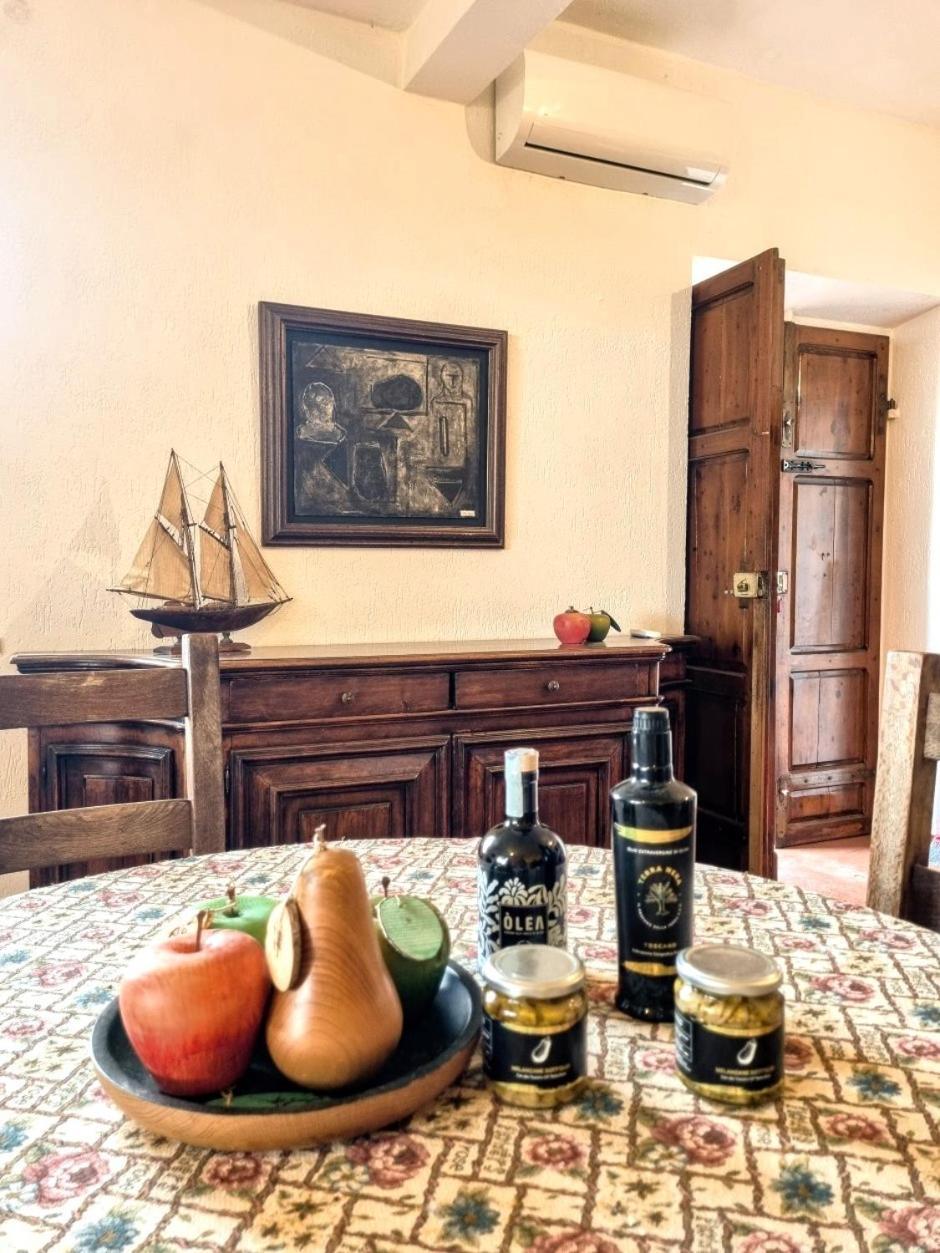 Agriturismo Terranera Scansano Dış mekan fotoğraf