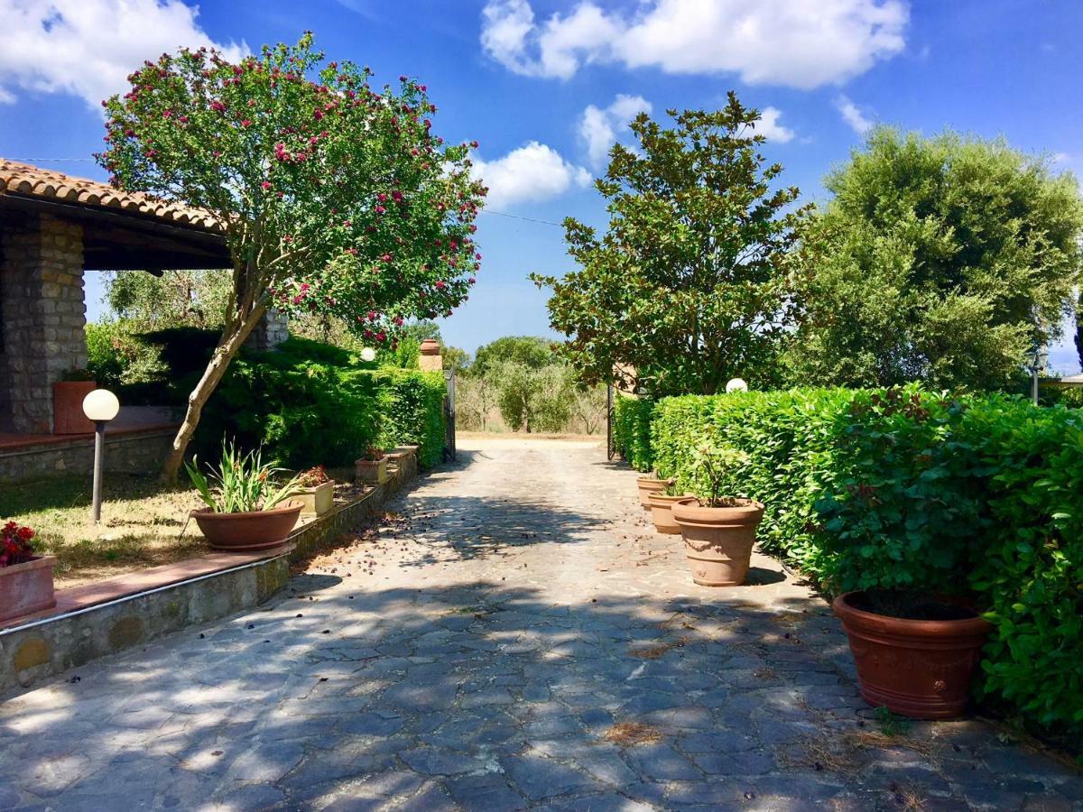 Agriturismo Terranera Scansano Dış mekan fotoğraf
