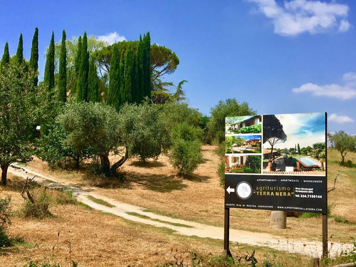 Agriturismo Terranera Scansano Dış mekan fotoğraf