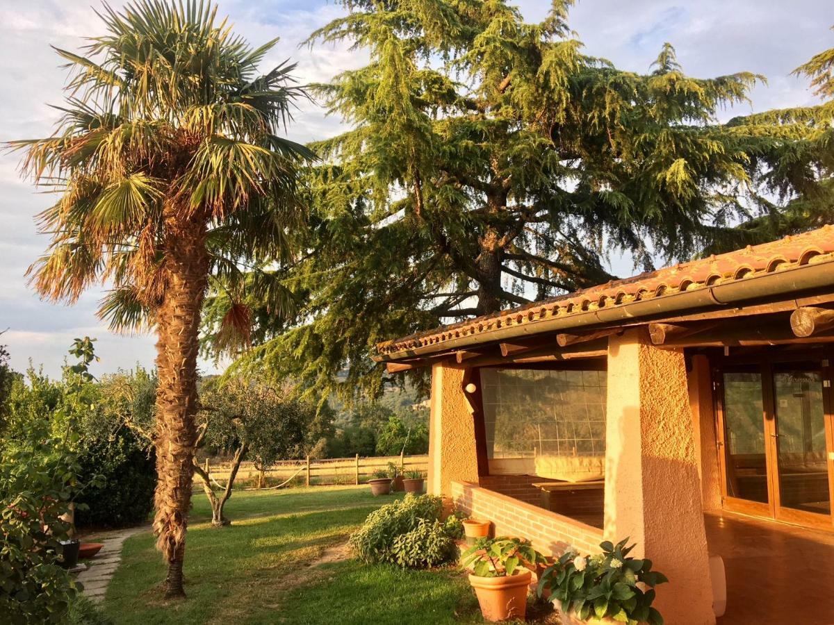 Agriturismo Terranera Scansano Dış mekan fotoğraf