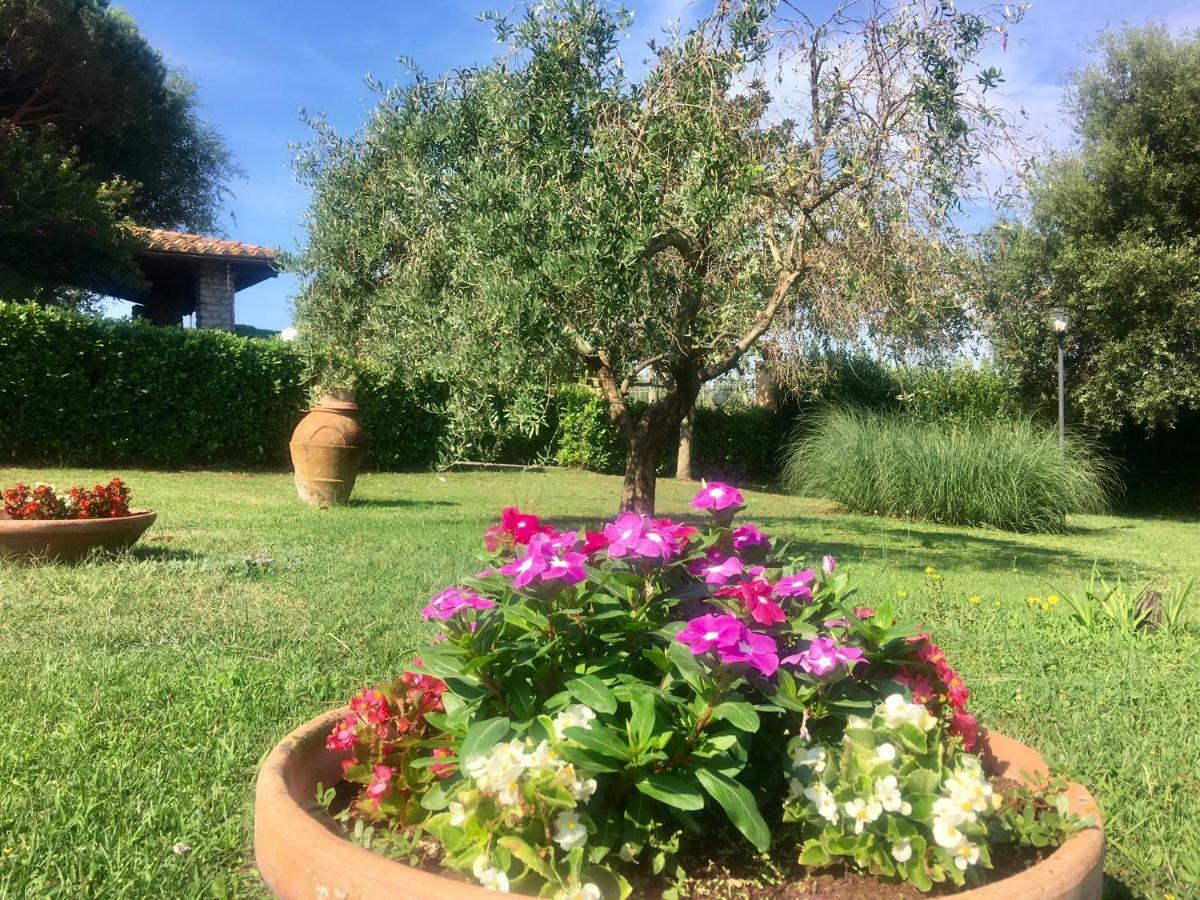 Agriturismo Terranera Scansano Dış mekan fotoğraf